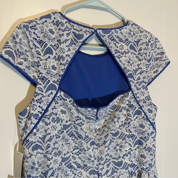 NWT Hailey Adrianna Papell Cocktail Dress Cap Sleeve Fit & Flare Keyhole Back 12 - Picture 5 of 11